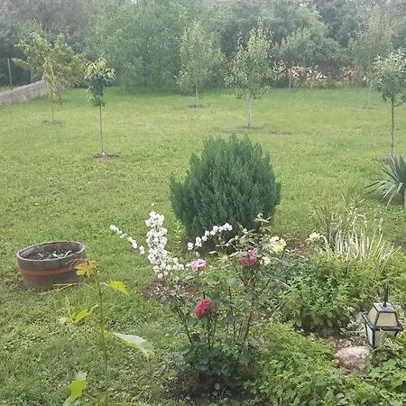 Robert Apartmant Balatonalmadi Exterior photo